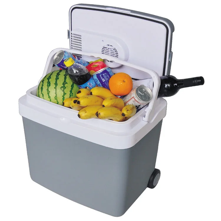 33l Trolley Mini Outdoor Fridge With Wheels For Car Buy Mini Fridge