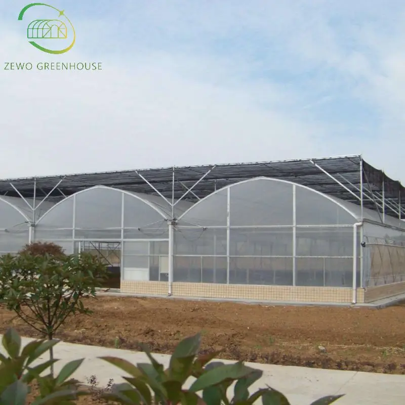 Large Commercial Vegetable Greenhouse For Mushroom Hydroponics System