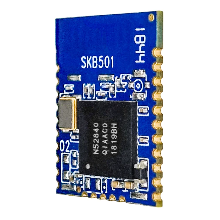 Customization Long Range Nordic Nrf52840 Bt Bluetooth Ble 5.0 Module ...