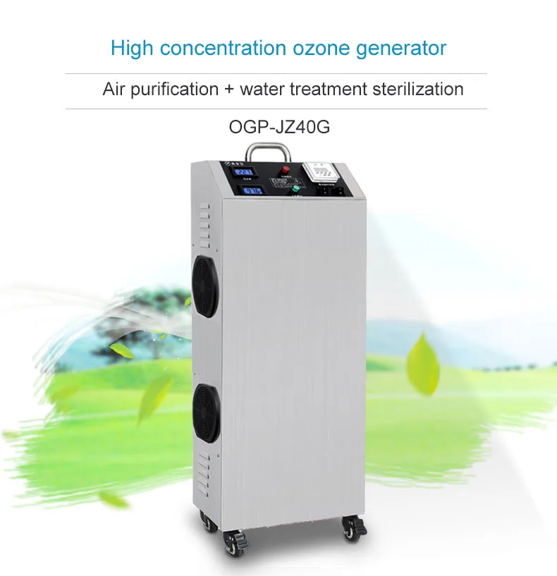 30g40g Industrial Prozone Ozone Water Purification System/swimming