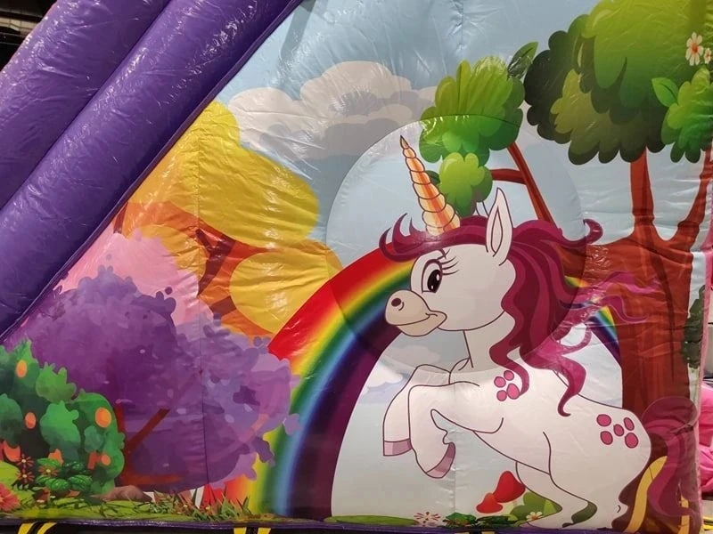 inflatable slide4