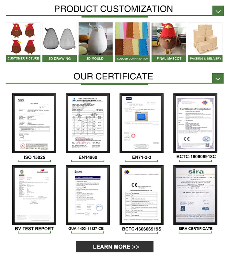 Certificate Mascot Costume