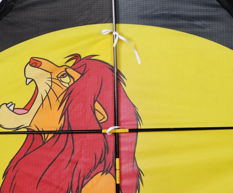 lion1