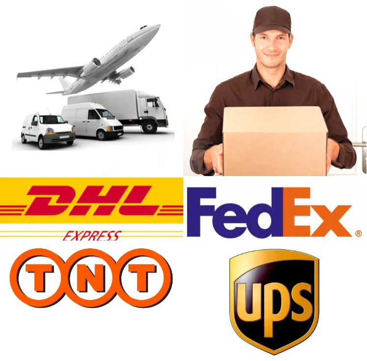 Seagull Padded Folding Chair (Navy)