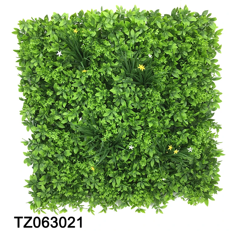 TZ063021.jpg