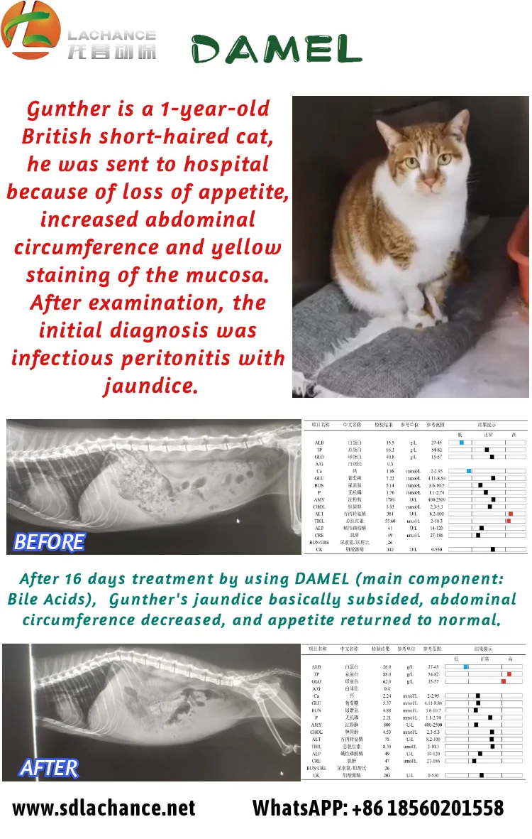 Pet Health Supplementbile Acidsremove Tear Stains,Jaundice And