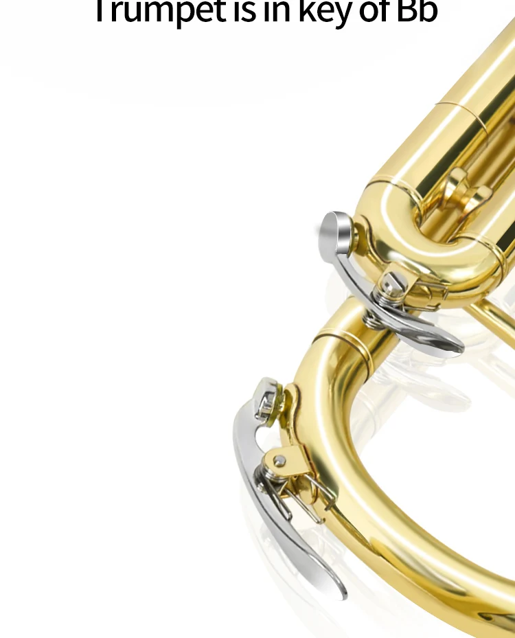 Factory Price JinBao TR-300 Standard Professional Trumpet Bb Key