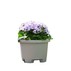 Yardwe 2PCS Flower Holder Porcelain Planter Indoor Pineapple Plants pots Holder for Bedroom Hotel Home Office