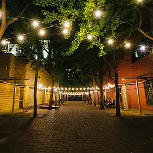 outdoor string lights