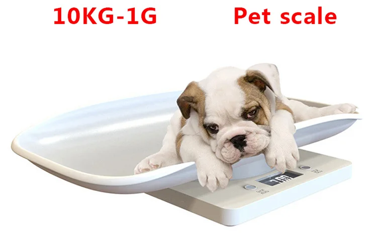 electric Pet scale.jpg