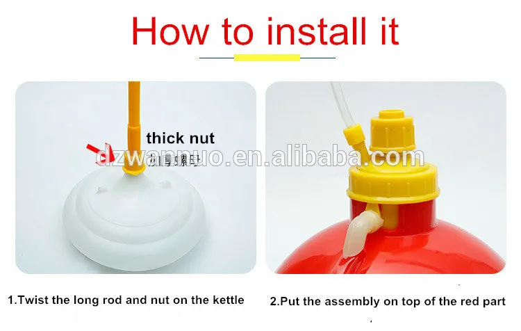 chicken plasson drinker