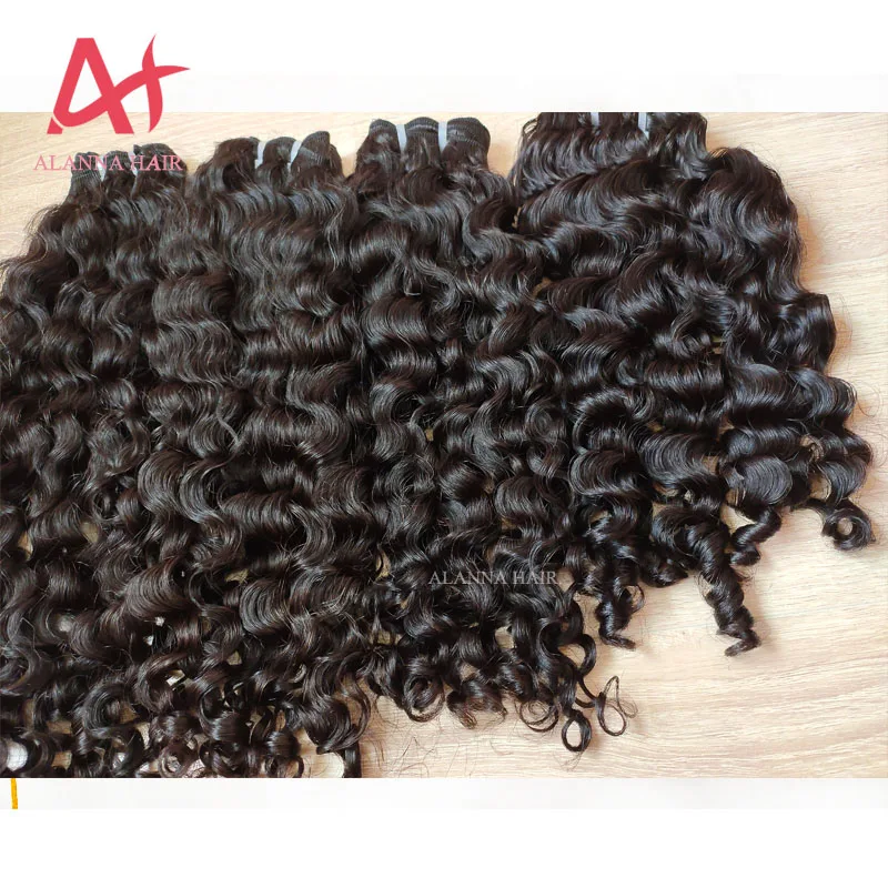 burmese curly 112.jpg