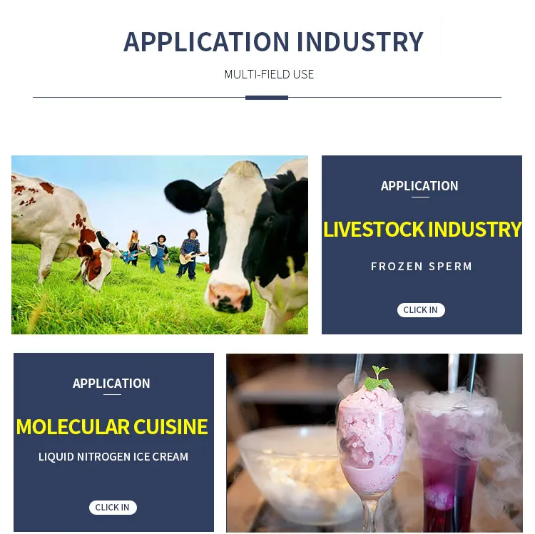 yds 35 liquid nitrogen tank for sale