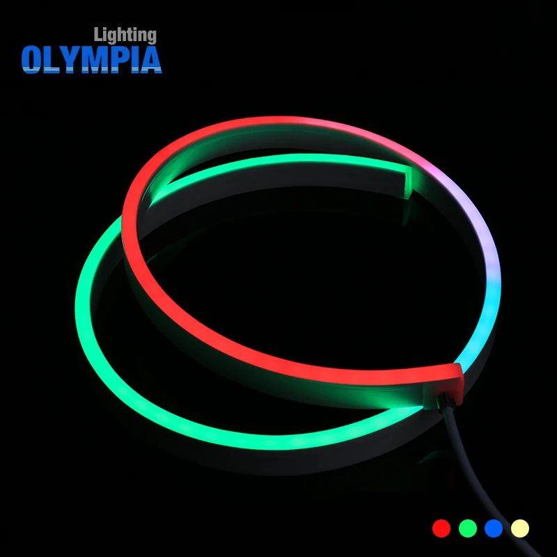 DMX waterproof  ip68 led neon flex rope light with remote rgbw led rope