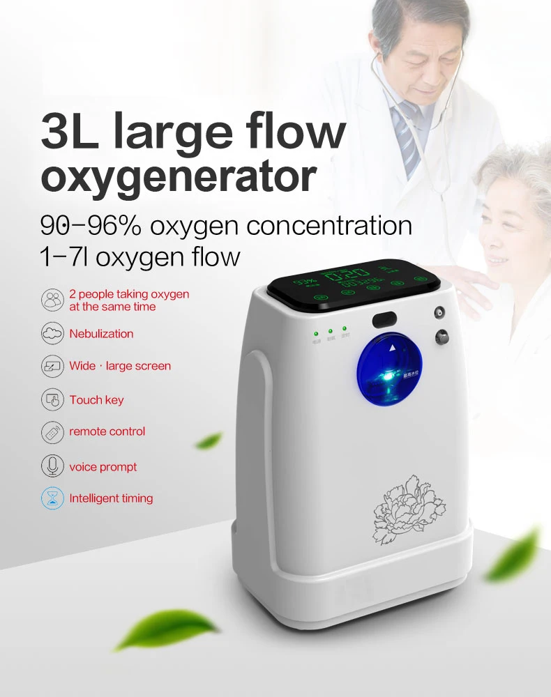 portable home use oxygen concentrator 3L mslzy31 - KingCare | KingCare.net