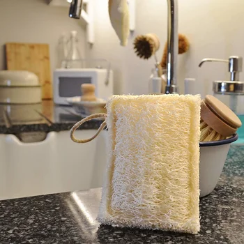 kitchen sponge dish