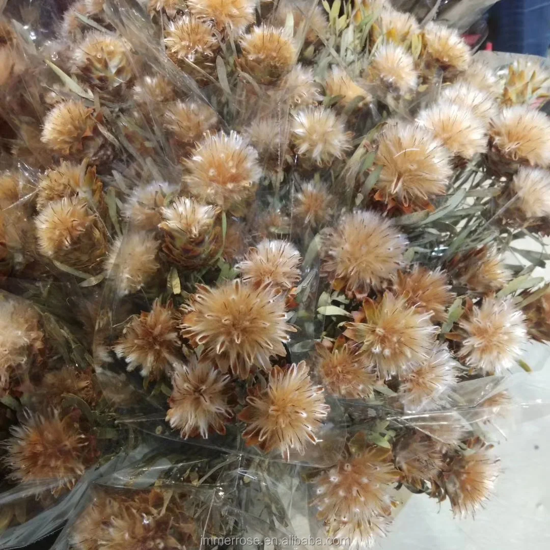 Beautiful Dry Flowers For Christmas Decoratve Flowers Buy Dried