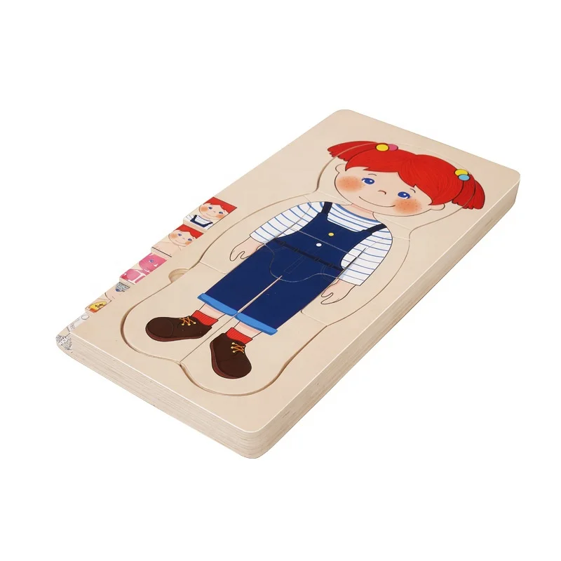 Children Wooden Multi Layer Body Jigsaw Puzzle Male And Female Body