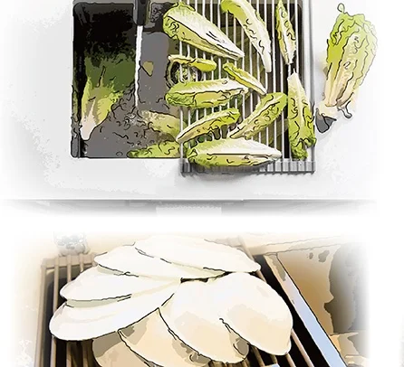 dish drying rack
