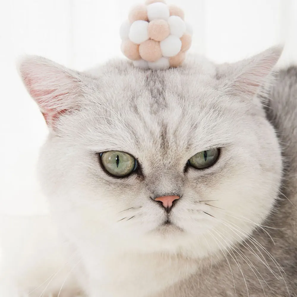 2020 亚马逊互动毛绒吱吱手工充气猫球狩猎玩具训练