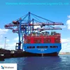 Safety Professional, Reliable and Competitive China Shipping to US/Canada/Australia/Japan/Europe/Global Shenzhen Agents