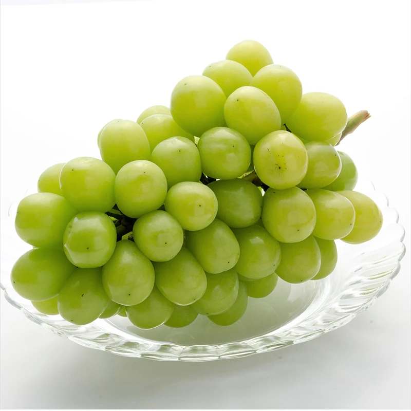 
Organic hot sale vitamin rich japanese organic grapes for wholesale 