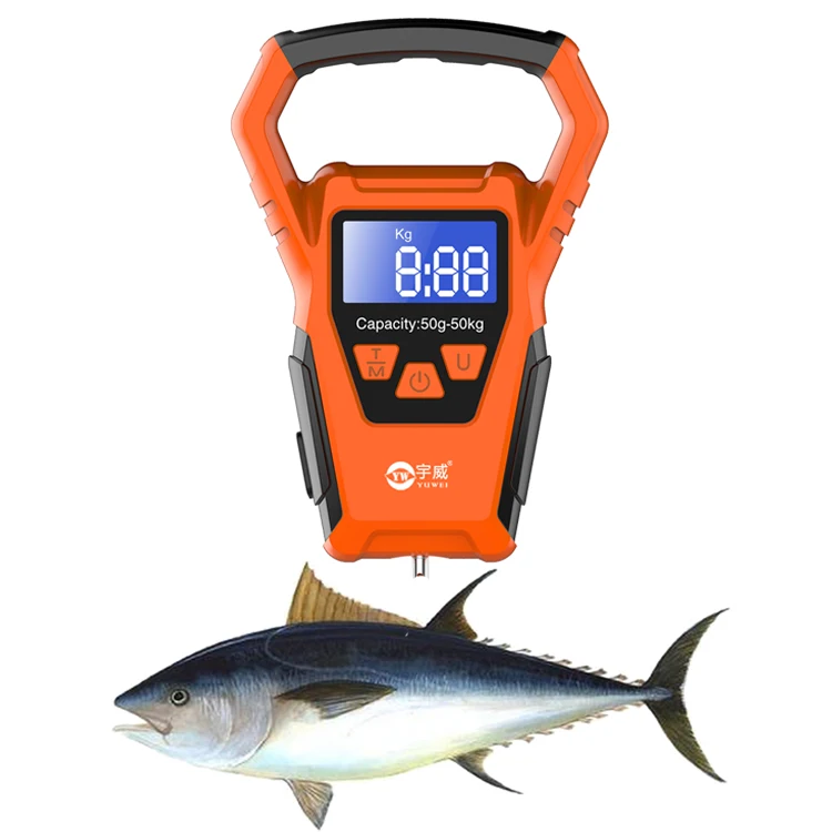 2020 Amazon Fishing Accessories 50kg Digital Luggage Weight Waterproof Ipx7 Fishing Scale Buy
