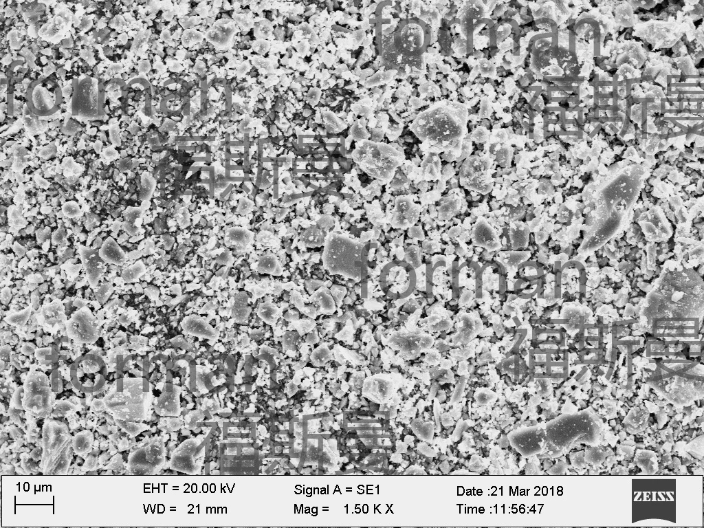 2203001-SEM.jpg