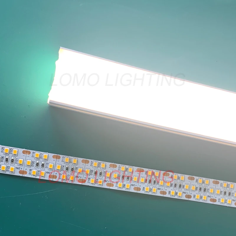 size 40*25cm flat silicon neon flex Customized Waterproof 12V/24V  Neon  LED Strip Lights