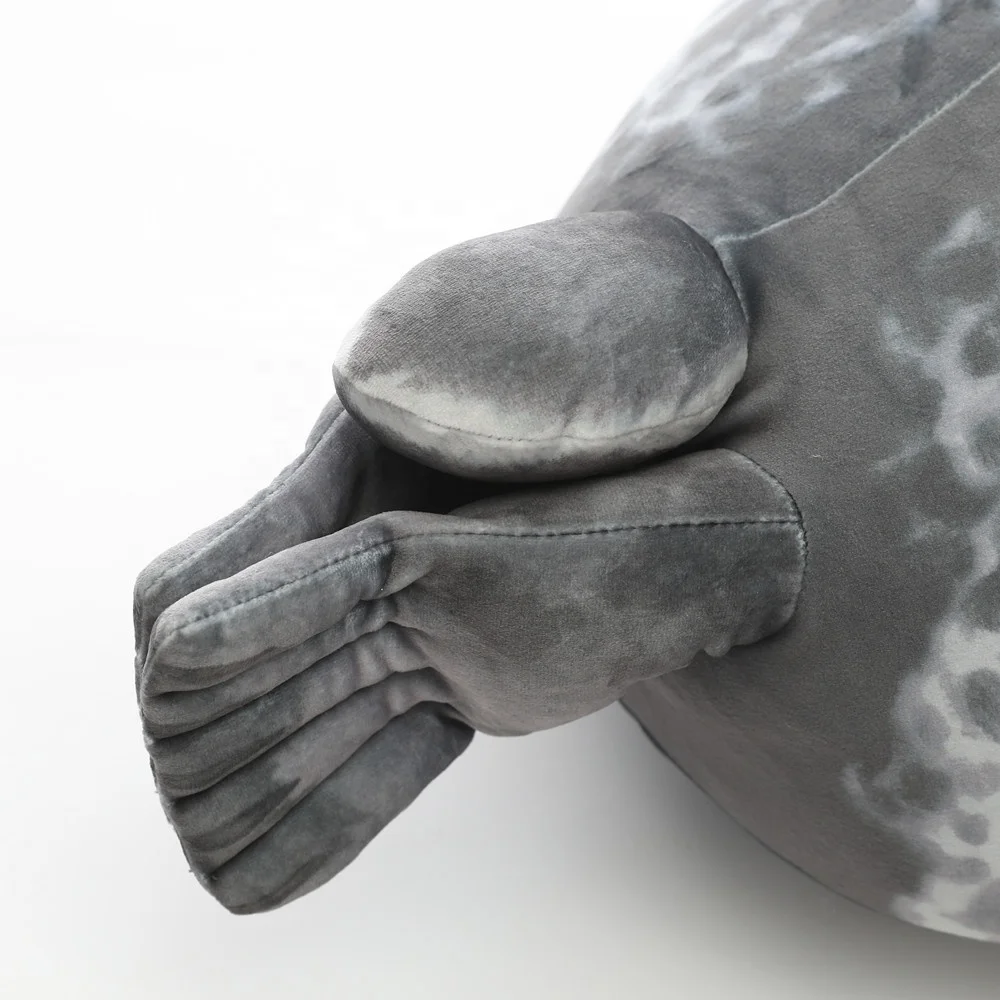 seal 6.jpg