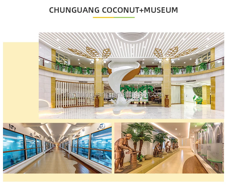 Factory Direct Sales, Coconut Candy, HALAL Sweet Coconut Sugar