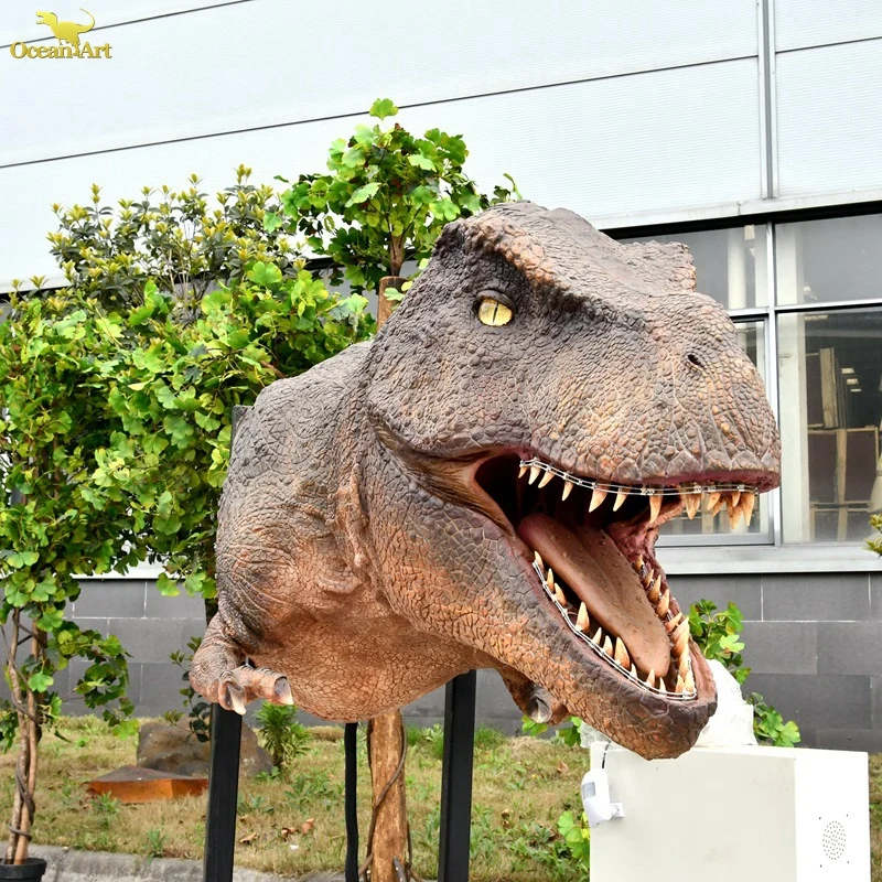 DSC_2664.JPG