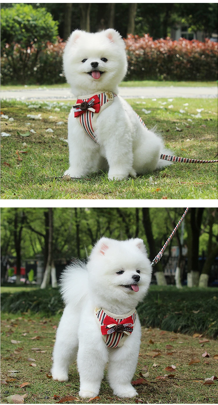 2021 best selling  cute bowknot adjustable custom dog harness pet