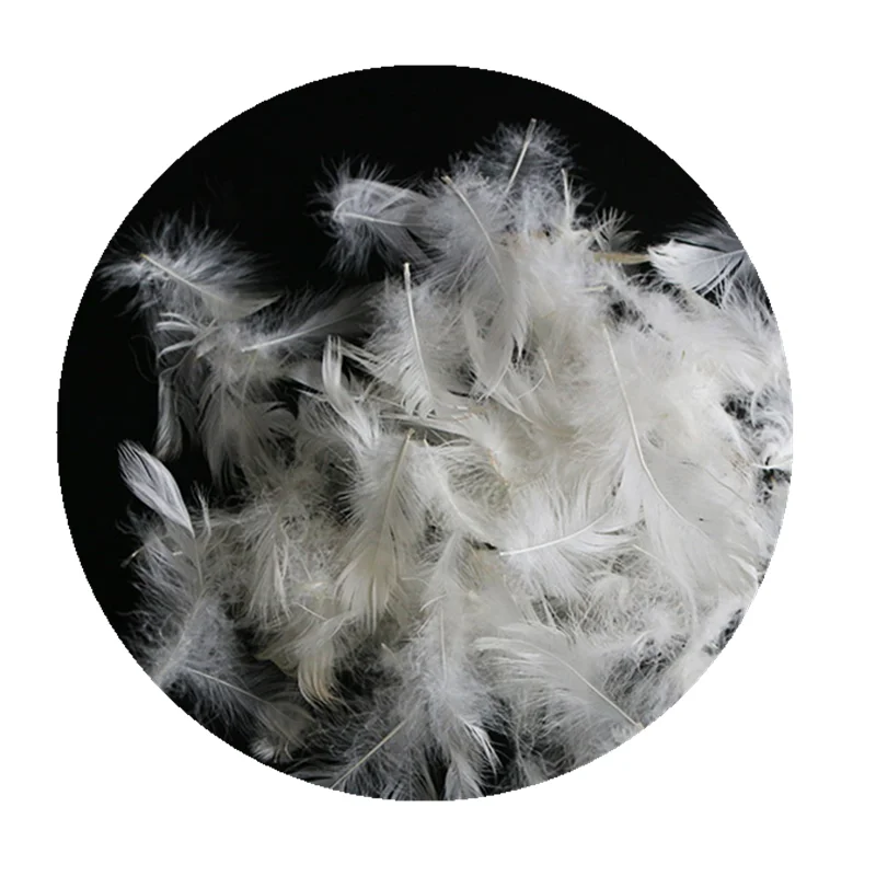 white feathers for sale