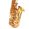 /product-detail/minsine-gold-lacquer-brass-alto-instrument-accessories-professional-eb-oem-china-sax-saxophone-alto-62430259331.html
