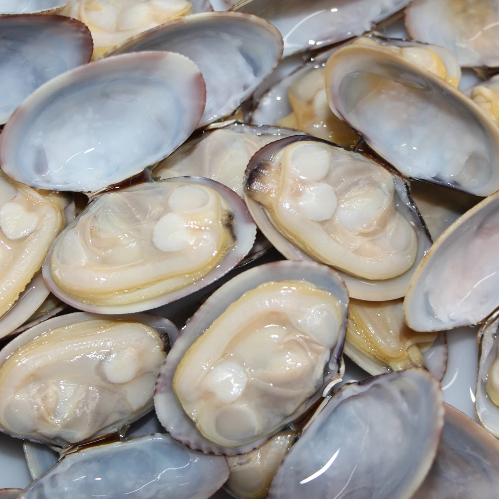 新到货美味新鲜冷冻煮短颈蛤肉 - buy frozen boile