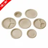 Complete rectangle 10 inch bagasse plate with fast delivery