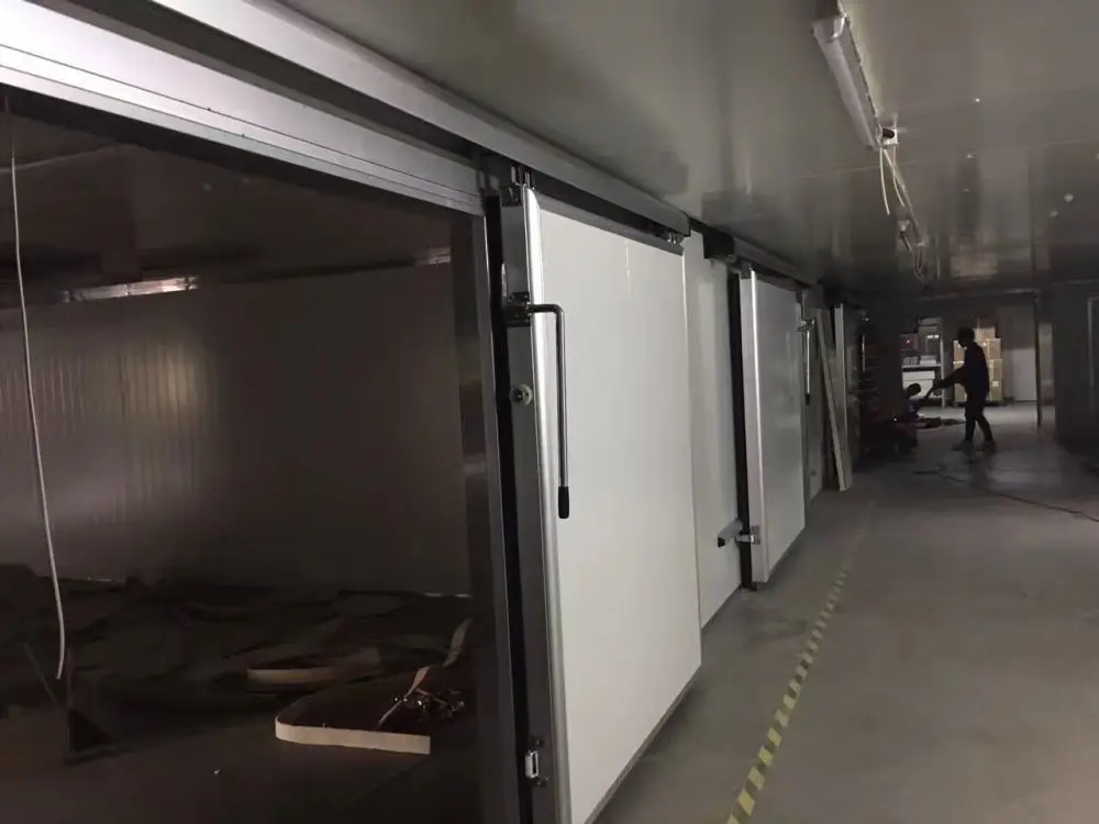 freezer chamber