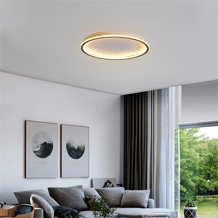 Modern New Design Lighting Fashion Unique Aluminum Led Ceiling Lamp