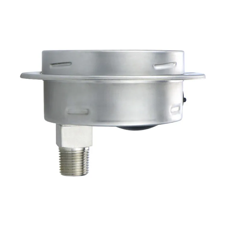 1.0% 99MM 316ss 250Bar Pressure Gauge Mounted Manometer