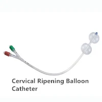 Disposable Sterile Dual-lumen Postpartum (pph) Balloon Tamponade ...