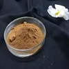 Hot selling polysaccharide powder maitake mushroom extract