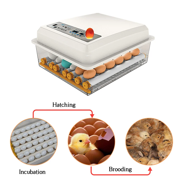 Newest Type 24 Eggs Incubator Hatching Machine Automatic Rolling Egg   H61e943ca25a944ad929214f63c8487a0Q 