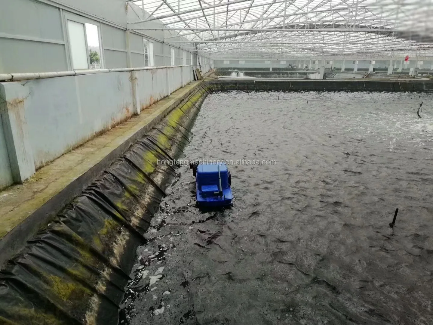 Solar Power Fish Feeder Pond Auto Feeder For Fish Farming Buy Feeder