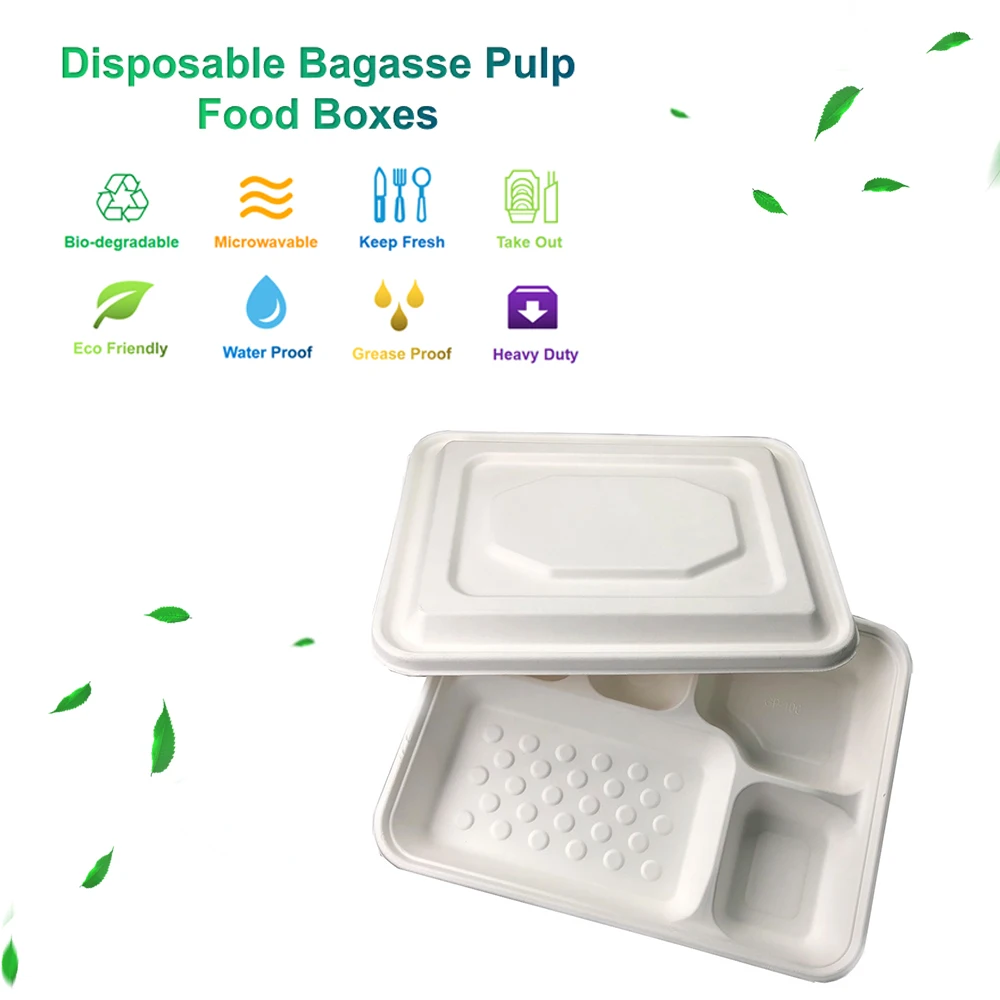 Hot Selling Disposable Biodegradable 5 Compartment Food Container