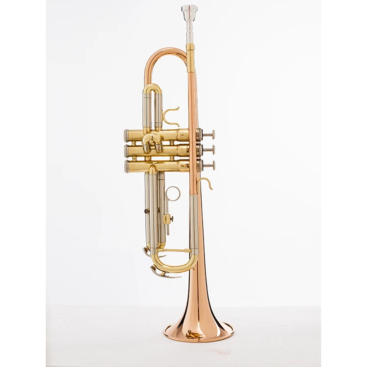 trumpet with case