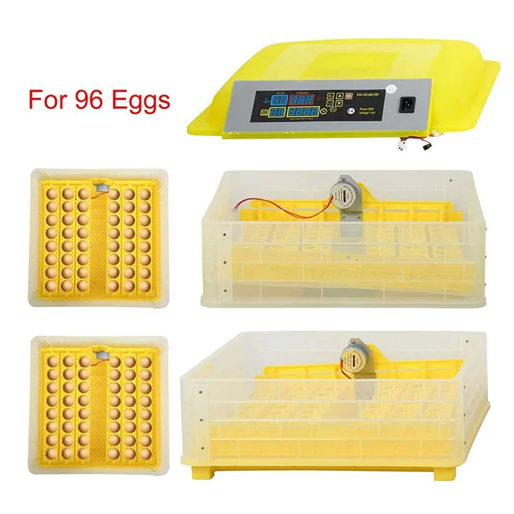 Hhd 2021 Toppest Ce Approved Poultry Egg Incubator 100 Chicken Egg