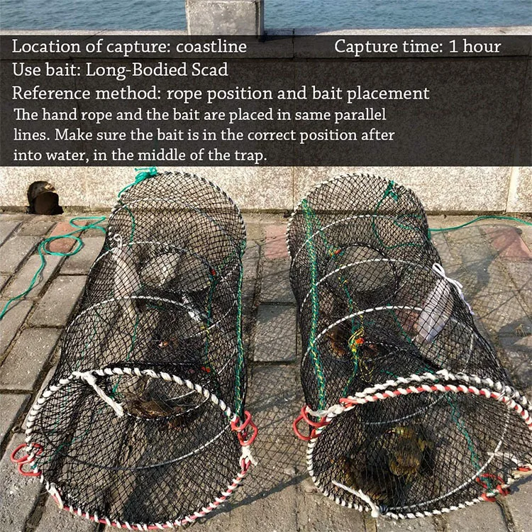 crab cage (4).jpg