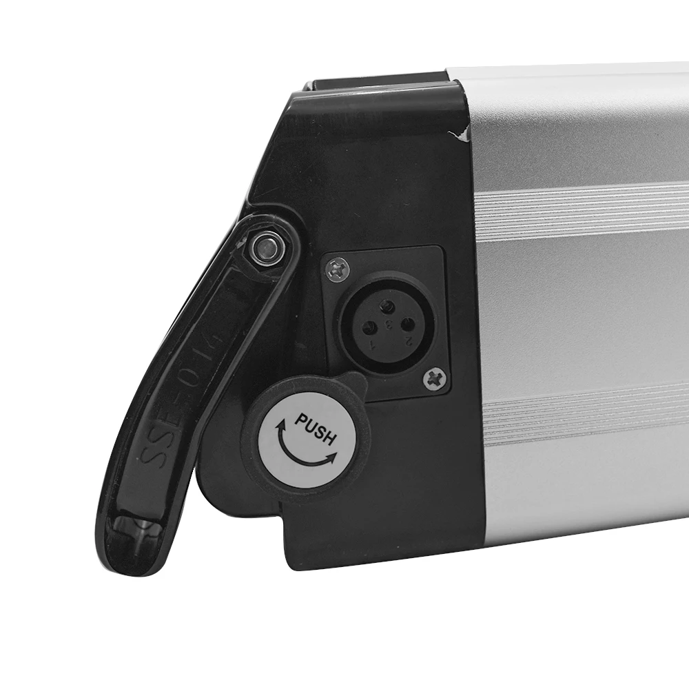 Rechargeable Lithium Li Ion Packs Ebike Batteries Lifepo4 Silver Fish