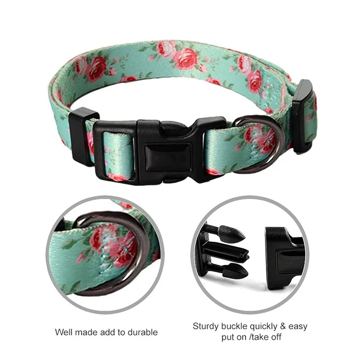 Pet Collar-72